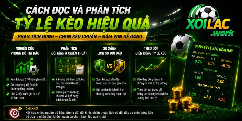 Cách đọc và phân tích tỷ lệ kèo