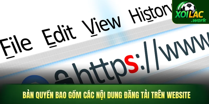 Bản quyền bao gồm các nội dung đăng tải trên website