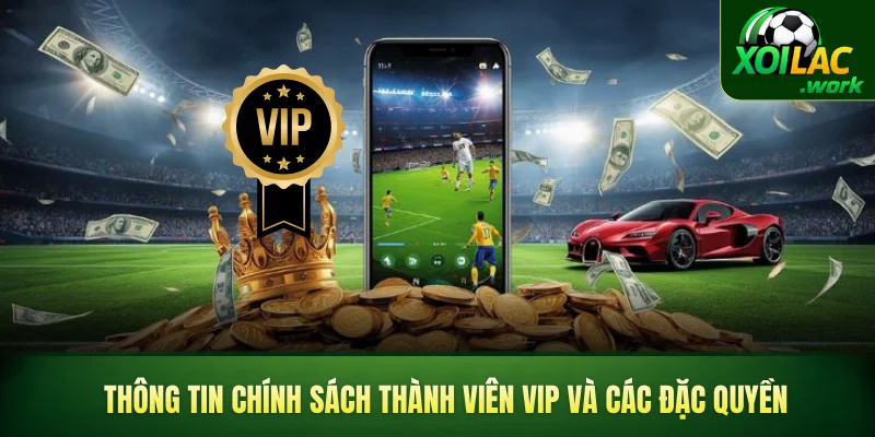 Thông tin chính sách thành viên VIP và các đặc quyền
