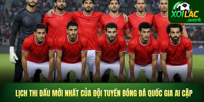 Lịch thi đấu mới nhất của đội tuyển bóng đá quốc gia Ai Cập