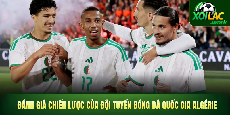 Đánh giá chiến lược của đội tuyển bóng đá quốc gia Algérie