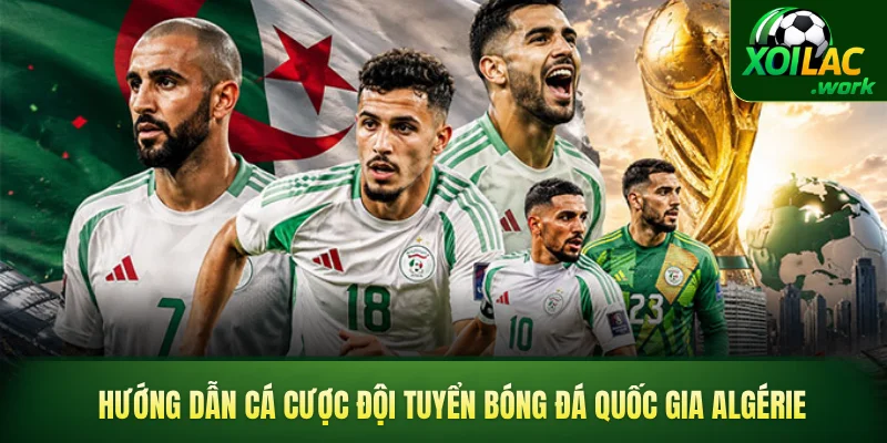 Hướng dẫn cá cược đội tuyển bóng đá quốc gia Algérie