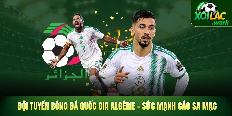 Đội tuyển bóng đá quốc gia Algérie