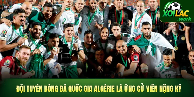 Đội tuyển bóng đá quốc gia Algérie là ứng cử viên nặng ký