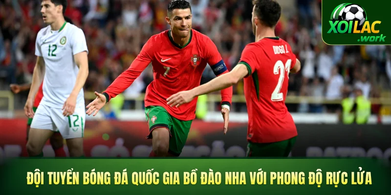 Đội tuyển bóng đá quốc gia Bồ Đào Nha với phong độ rực lửa