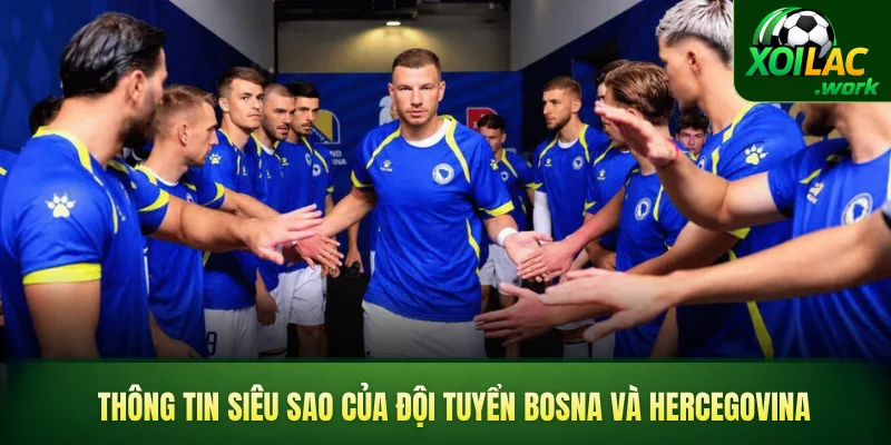 Thông tin siêu sao của đội tuyển bóng đá quốc gia Bosna và Hercegovina