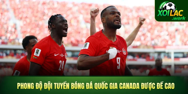 Phong độ đội tuyển bóng đá quốc gia Canada được đề cao