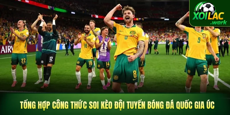 Tổng hợp công thức soi kèo đội tuyển bóng đá quốc gia Úc