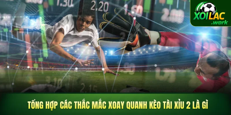 Tổng hợp các thắc mắc xoay quanh kèo tài xỉu 2 là gì