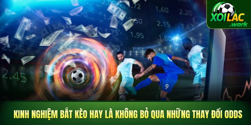 Kinh nghiệm bắt kèo hay là không bỏ qua những thay đổi Odds
