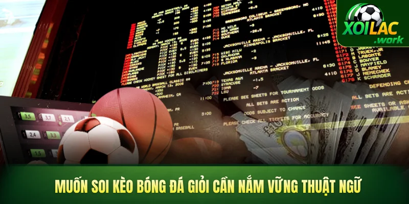 Muốn soi kèo bóng đá giỏi cần nắm vững thuật ngữ