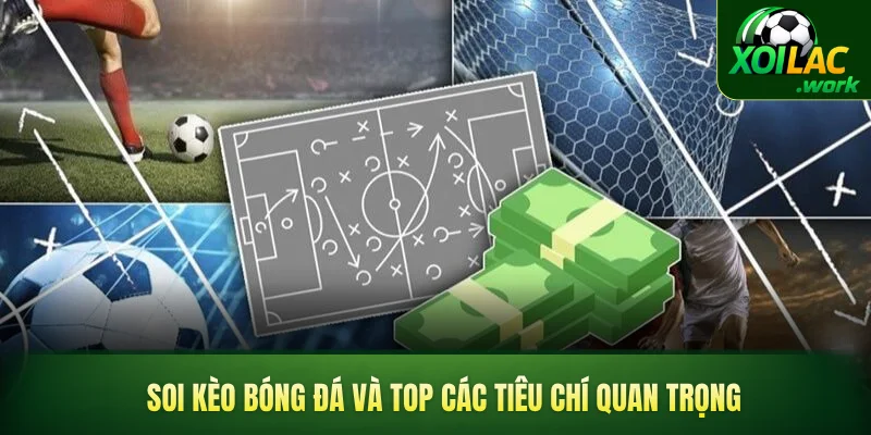 Soi kèo bóng đá và top các tiêu chí quan trọng