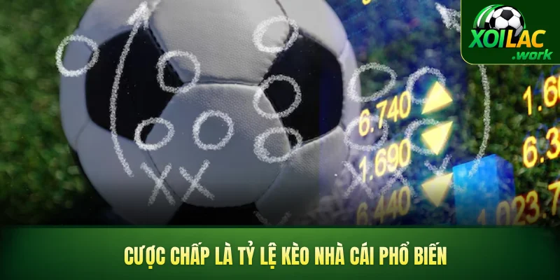 Cược chấp là tỷ lệ kèo nhà cái phổ biến