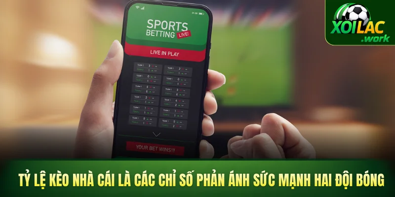 Tỷ lệ kèo nhà cái là các chỉ số phản ánh sức mạnh hai đội bóng